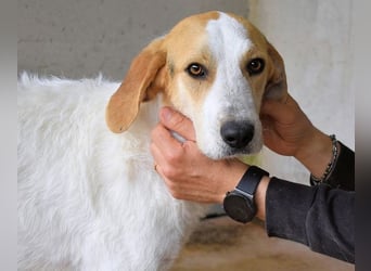 Anicho - wie wär's mit einem happy Happy End?