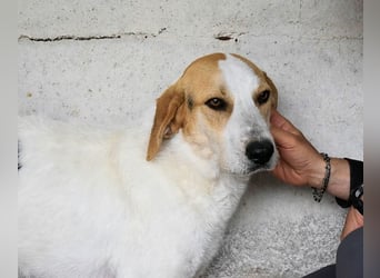 Anicho - wie wär's mit einem happy Happy End?