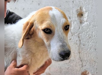 Anicho - wie wär's mit einem happy Happy End?