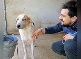 Anicho - wie wär's mit einem happy Happy End?