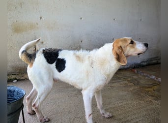 Anicho - wie wär's mit einem happy Happy End?