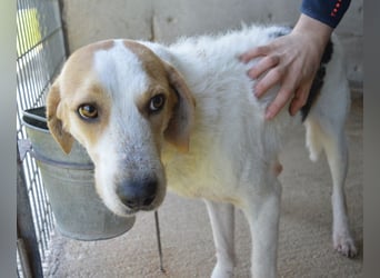 Anicho - wie wär's mit einem happy Happy End?