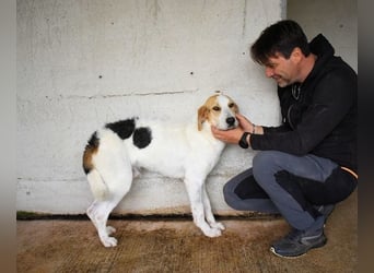 Anicho - wie wär's mit einem happy Happy End?