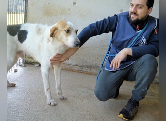 Anicho - wie wär's mit einem happy Happy End?