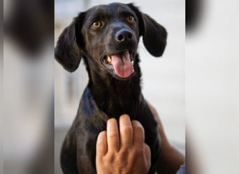 Sugar- so zart wie Puderzucker