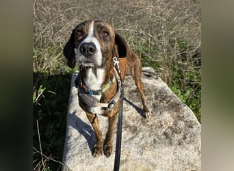 Sardo: Sehnsucht nach menschlicher Wärme