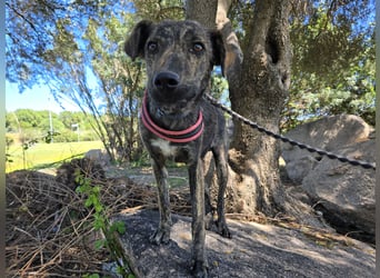 Rosino: ein Schatz für "überall mit dabei"