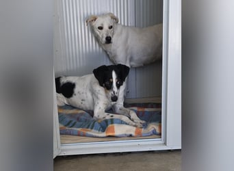 Enas: braucht Ruhe, Liebe und Geborgenheit