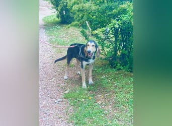 Filippo sucht eine Familie