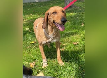 JOY möchte endlich ihr Leben genießen dürfen