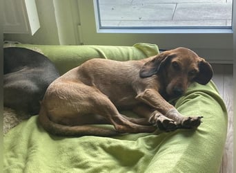 JOY möchte endlich ihr Leben genießen dürfen