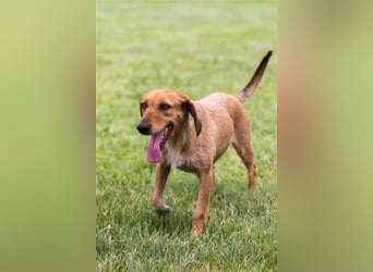 JOY möchte endlich ihr Leben genießen dürfen