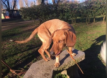 JOY möchte endlich ihr Leben genießen dürfen