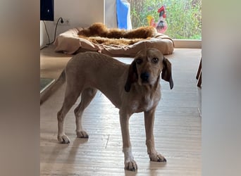 JOY möchte endlich ihr Leben genießen dürfen