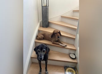 JOY möchte endlich ihr Leben genießen dürfen