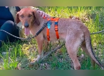 JOY möchte endlich ihr Leben genießen dürfen