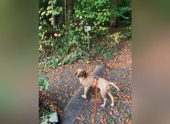 JOY möchte endlich ihr Leben genießen dürfen