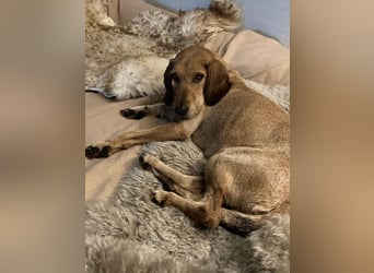 JOY möchte endlich ihr Leben genießen dürfen