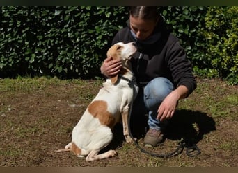 Deva - Die Sache mit dem Regen, der Traufe und einem Leben