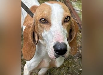 Deva - Die Sache mit dem Regen, der Traufe und einem Leben