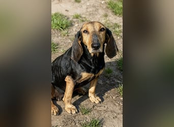 Dalma – nach vielen Jahren als Mama braucht sie endlich ihr eigenes Zuhause