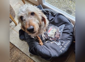 Notfall RED… alt, krank und nicht mehr gewollt….