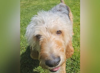 Notfall RED… alt, krank und nicht mehr gewollt….