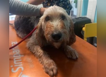 Notfall RED… alt, krank und nicht mehr gewollt….