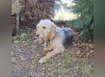 Notfall RED… alt, krank und nicht mehr gewollt….