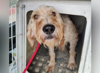 Notfall RED… alt, krank und nicht mehr gewollt….