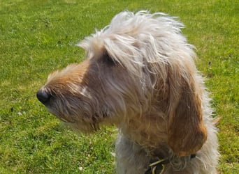 Notfall RED… alt, krank und nicht mehr gewollt….