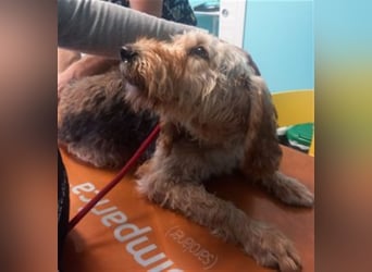 Notfall RED… alt, krank und nicht mehr gewollt….