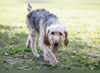 Notfall RED… alt, krank und nicht mehr gewollt….