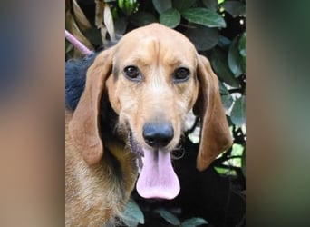 Neville - Abstellgleis - Nein Danke!