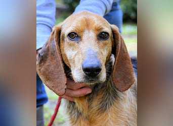 Neville - Abstellgleis - Nein Danke!