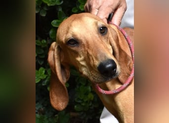 Myles - hofft auf ein warmes Plätzchen, bevor der Winter kommt