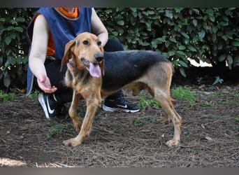 Neville - Abstellgleis - Nein Danke!