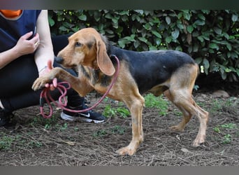 Neville - Abstellgleis - Nein Danke!