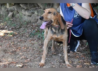 Neville - Abstellgleis - Nein Danke!