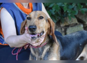Neville - Abstellgleis - Nein Danke!