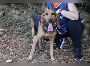 Neville - Abstellgleis - Nein Danke!