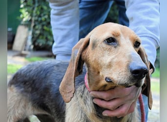 Neville - Abstellgleis - Nein Danke!