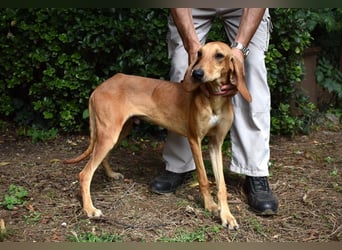 Myles - hofft auf ein warmes Plätzchen, bevor der Winter kommt