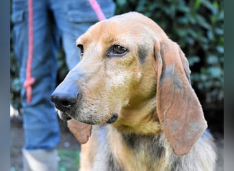 Neville - Abstellgleis - Nein Danke!