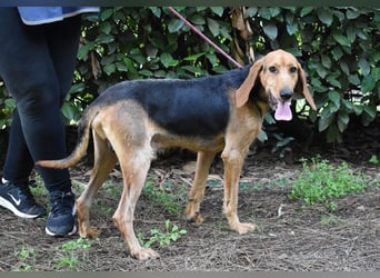 Neville - Abstellgleis - Nein Danke!