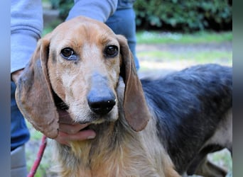 Neville - Abstellgleis - Nein Danke!