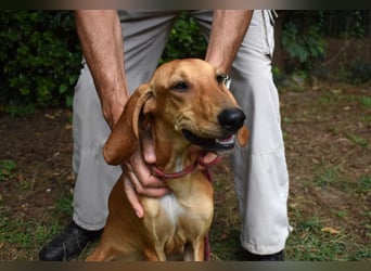 Myles - hofft auf ein warmes Plätzchen, bevor der Winter kommt