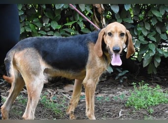 Neville - Abstellgleis - Nein Danke!