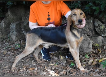 Neville - Abstellgleis - Nein Danke!