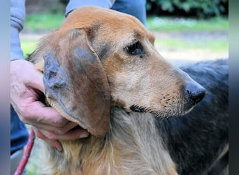 Neville - Abstellgleis - Nein Danke!